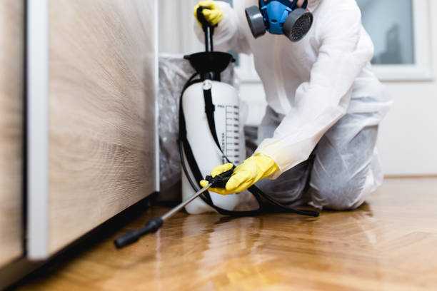Relax Pest Management Solutions