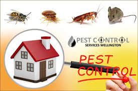 Relax Pest Management Solutions