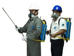 Relax Pest Management Solutions