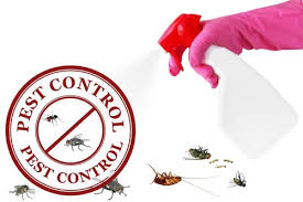 Relax Pest Management Solutions