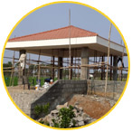Relax Pest Management Solutions